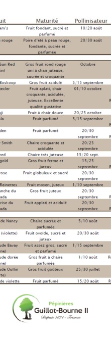 ARBRES FRUITIERS    <br />